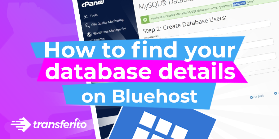 Creating and Using Your Database Details on Bluehost